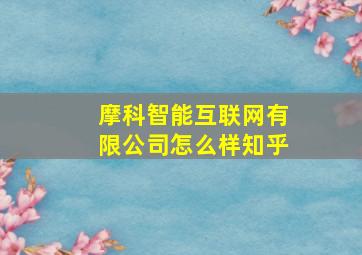 摩科智能互联网有限公司怎么样知乎