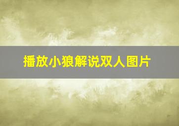 播放小狼解说双人图片