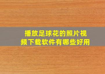 播放足球花的照片视频下载软件有哪些好用