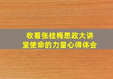 收看张桂梅思政大讲堂使命的力量心得体会