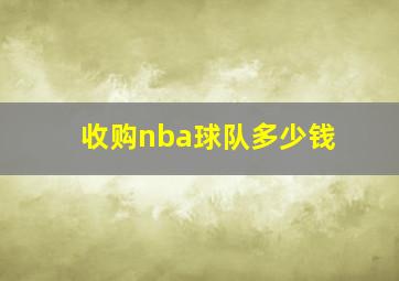 收购nba球队多少钱