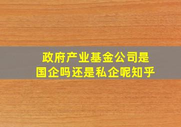 政府产业基金公司是国企吗还是私企呢知乎