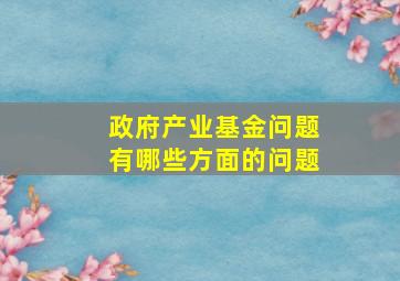 政府产业基金问题有哪些方面的问题