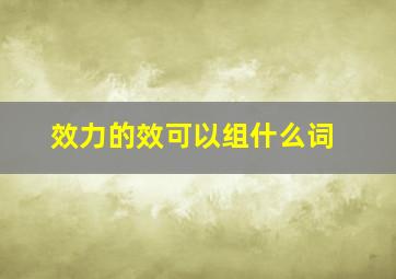 效力的效可以组什么词