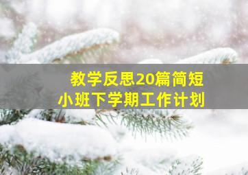 教学反思20篇简短小班下学期工作计划