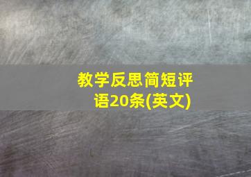 教学反思简短评语20条(英文)