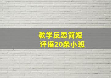 教学反思简短评语20条小班