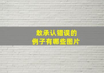 敢承认错误的例子有哪些图片