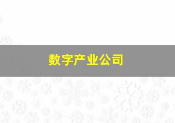 数字产业公司