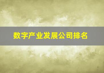 数字产业发展公司排名