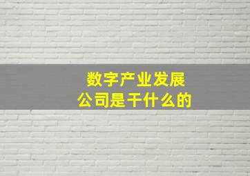 数字产业发展公司是干什么的