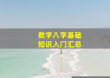 数字八字基础知识入门汇总