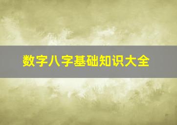 数字八字基础知识大全