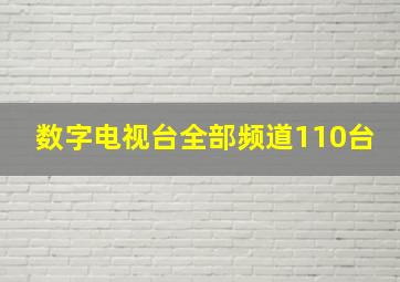 数字电视台全部频道110台