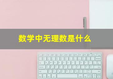 数学中无理数是什么