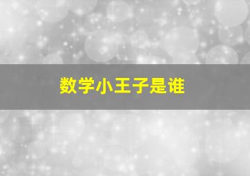 数学小王子是谁