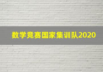 数学竞赛国家集训队2020