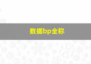 数据bp全称