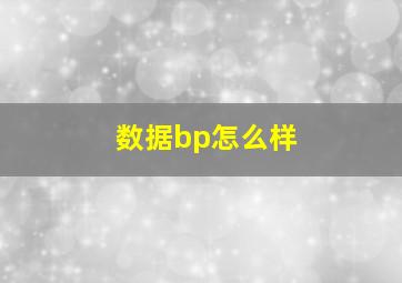 数据bp怎么样