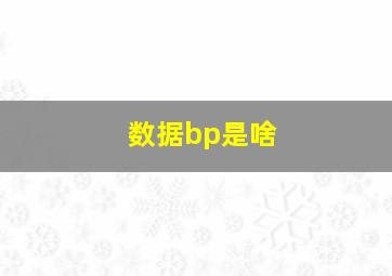 数据bp是啥