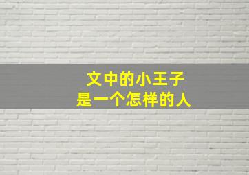 文中的小王子是一个怎样的人