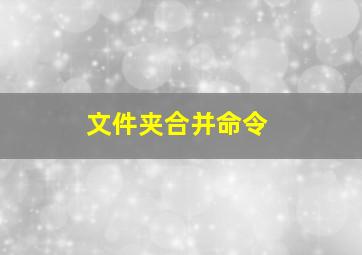 文件夹合并命令