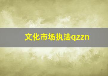 文化市场执法qzzn