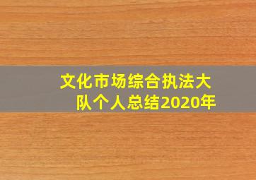 文化市场综合执法大队个人总结2020年