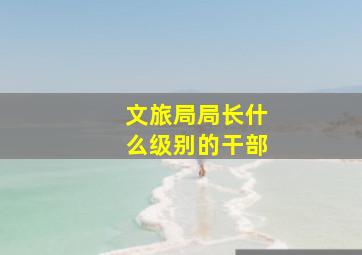 文旅局局长什么级别的干部