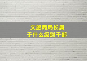 文旅局局长属于什么级别干部