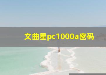 文曲星pc1000a密码