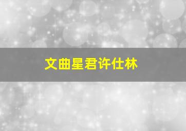 文曲星君许仕林