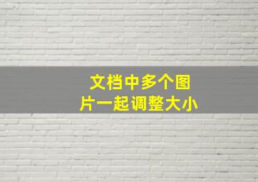 文档中多个图片一起调整大小