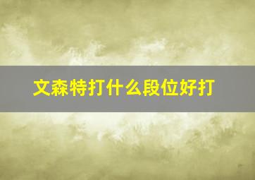 文森特打什么段位好打