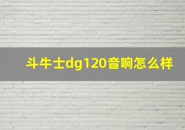 斗牛士dg120音响怎么样