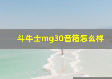 斗牛士mg30音箱怎么样