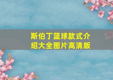 斯伯丁篮球款式介绍大全图片高清版