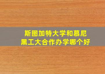 斯图加特大学和慕尼黑工大合作办学哪个好