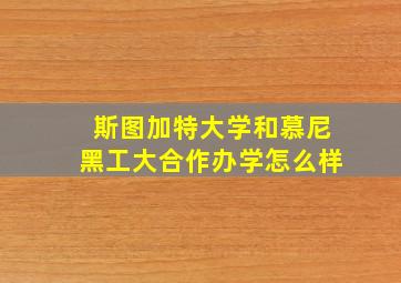 斯图加特大学和慕尼黑工大合作办学怎么样