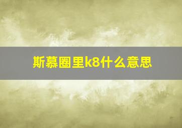 斯慕圈里k8什么意思