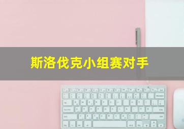 斯洛伐克小组赛对手