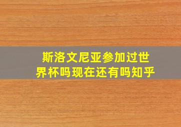 斯洛文尼亚参加过世界杯吗现在还有吗知乎