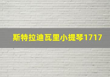 斯特拉迪瓦里小提琴1717