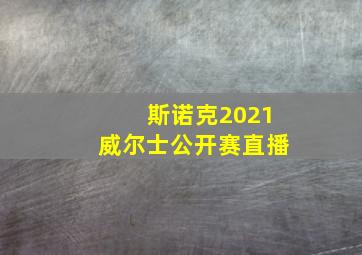 斯诺克2021威尔士公开赛直播