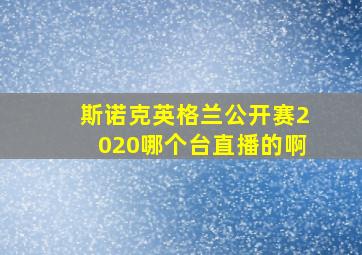 斯诺克英格兰公开赛2020哪个台直播的啊