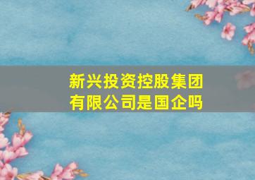 新兴投资控股集团有限公司是国企吗