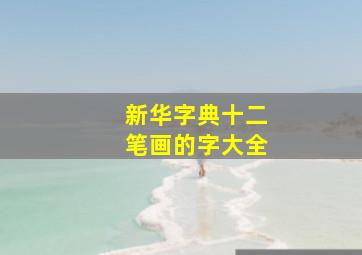 新华字典十二笔画的字大全