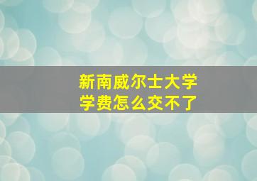 新南威尔士大学学费怎么交不了