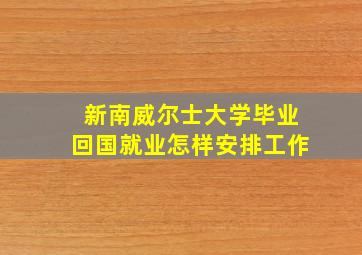 新南威尔士大学毕业回国就业怎样安排工作