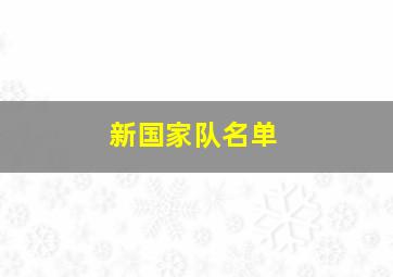 新国家队名单